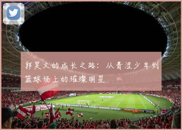 郭昊文的成长之路：从青涩少年到篮球场上的璀璨明星
