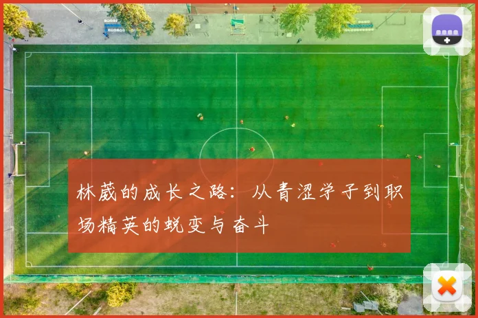 林葳的成长之路：从青涩学子到职场精英的蜕变与奋斗