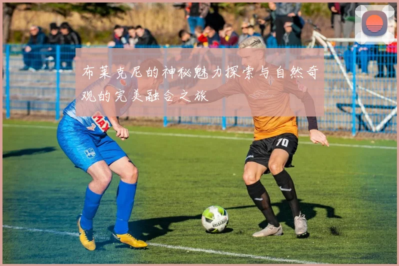布莱克尼的神秘魅力探索与自然奇观的完美融合之旅